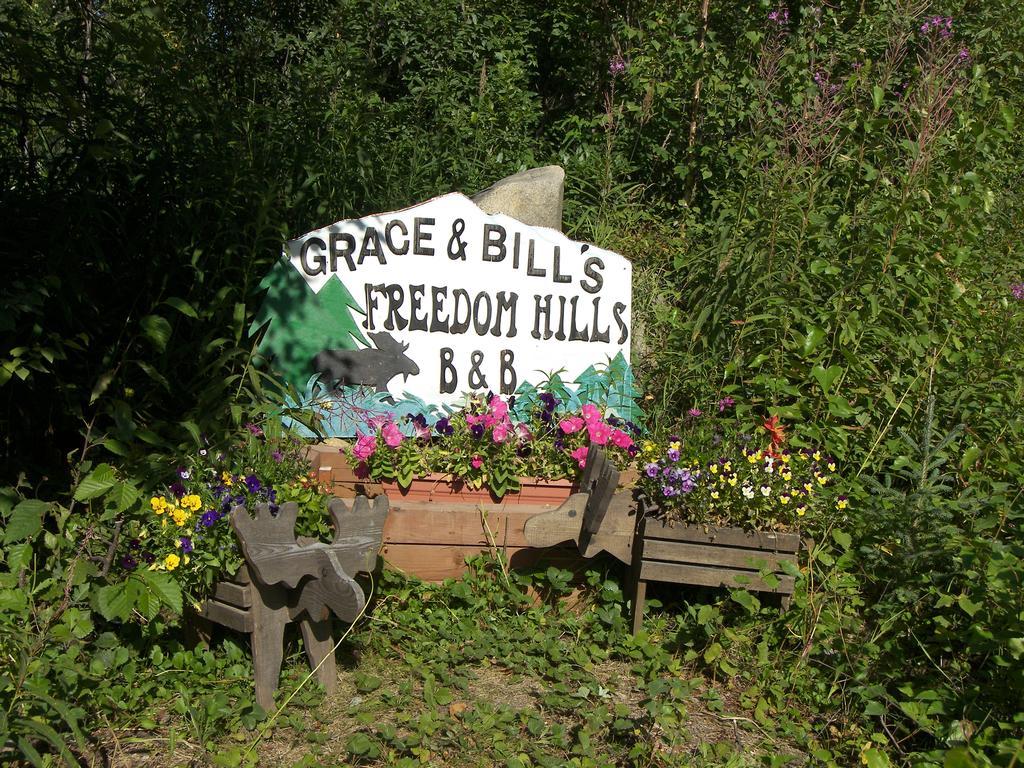 Grace And Bill'S Freedom Hills B&B Talkeetna Exteriér fotografie