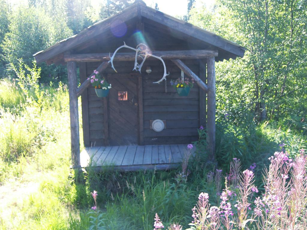 Grace And Bill'S Freedom Hills B&B Talkeetna Exteriér fotografie