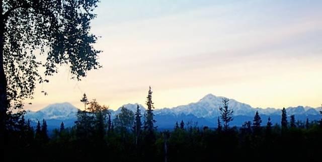 Grace And Bill'S Freedom Hills B&B Talkeetna Exteriér fotografie