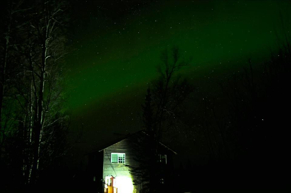 Grace And Bill'S Freedom Hills B&B Talkeetna Exteriér fotografie