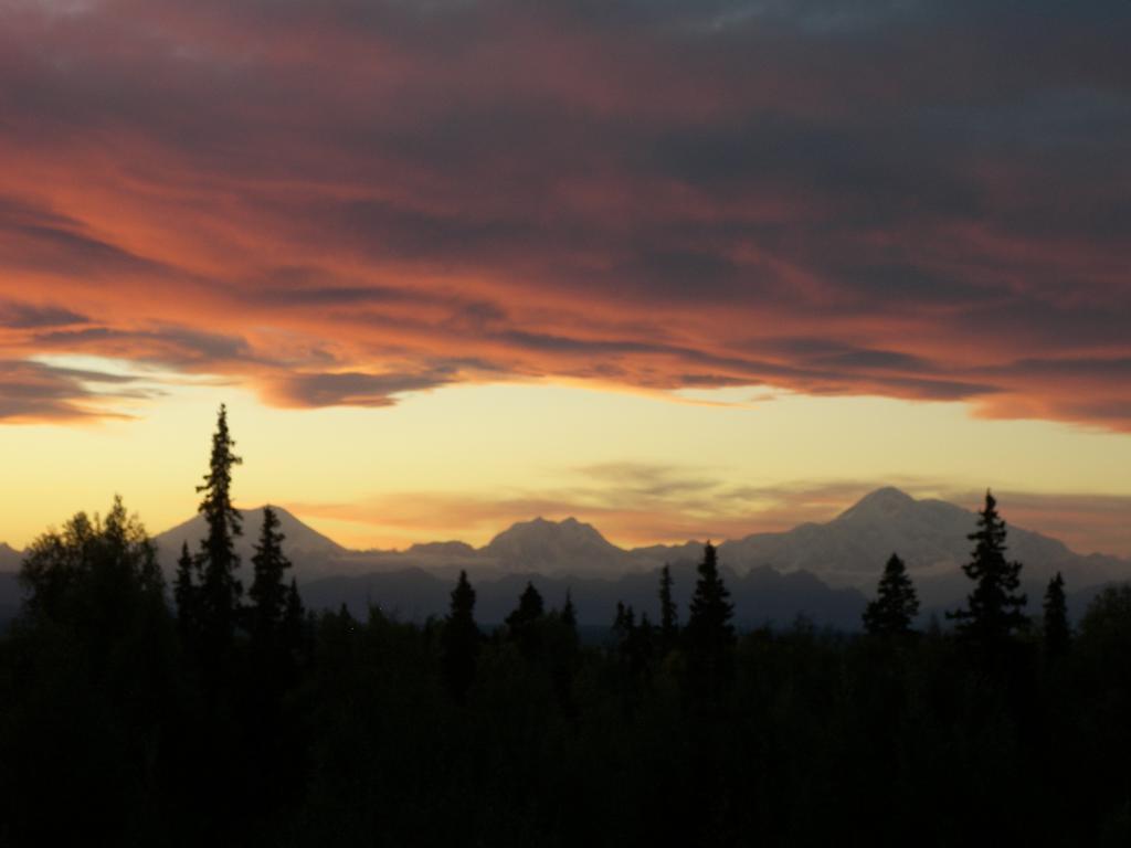 Grace And Bill'S Freedom Hills B&B Talkeetna Exteriér fotografie