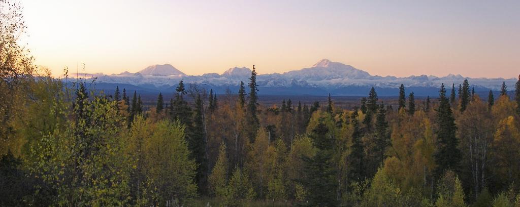 Grace And Bill'S Freedom Hills B&B Talkeetna Exteriér fotografie